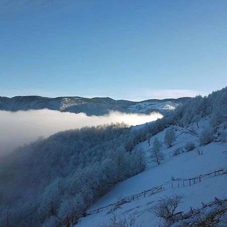 Sirt Butik Hotel Akcaabat Exteriér fotografie