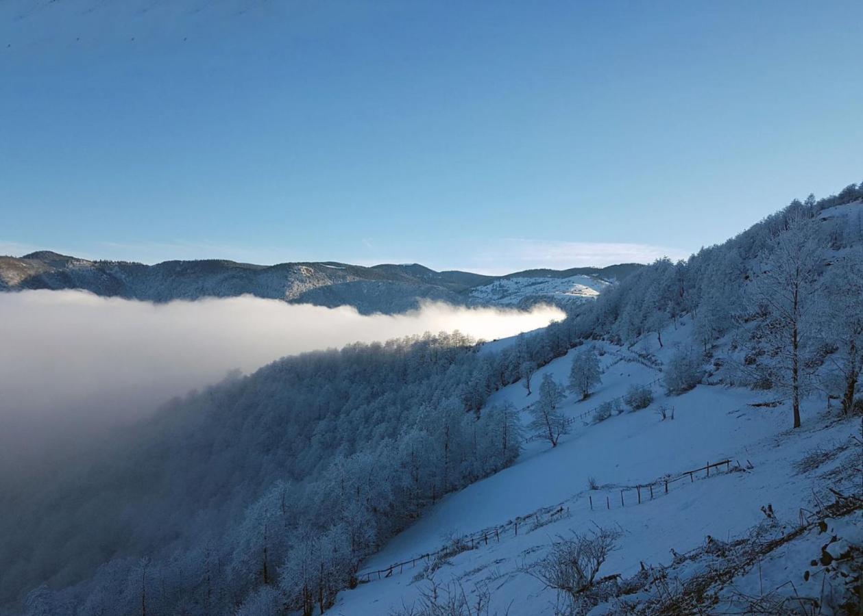 Sirt Butik Hotel Akcaabat Exteriér fotografie